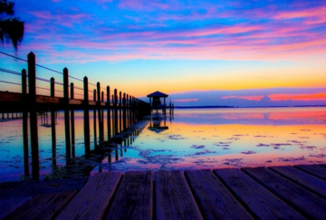 proyectos-1/programa-para-conservacion-de-la-guadua-5